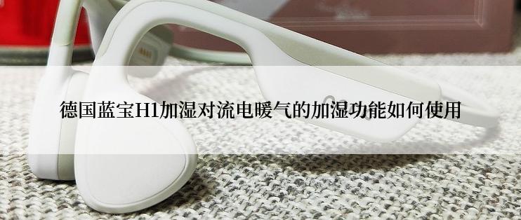 德国蓝宝H1加湿对流电暖气的加湿功能如何使用