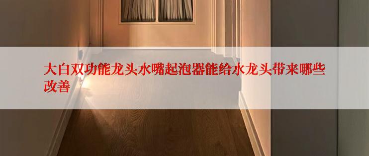 大白双功能龙头水嘴起泡器能给水龙头带来哪些改善