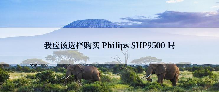我应该选择购买 Philips SHP9500 吗