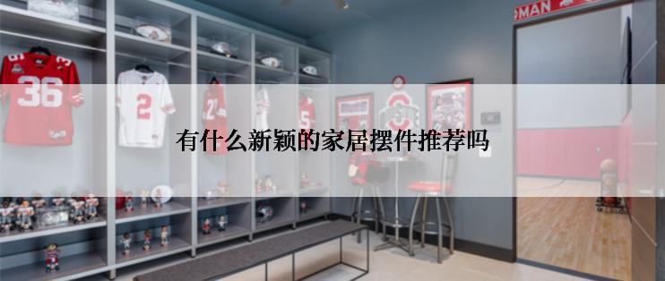 有什么新颖的家居摆件推荐吗