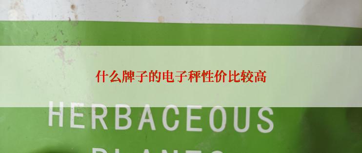 什么牌子的电子秤性价比较高