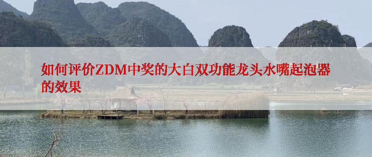 如何评价ZDM中奖的大白双功能龙头水嘴起泡器的效果