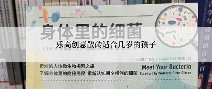 乐高创意散砖适合几岁的孩子