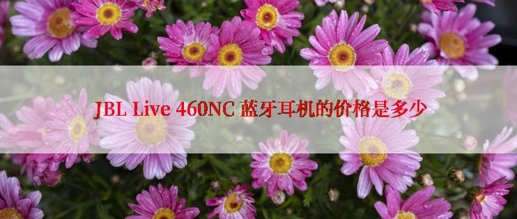  JBL Live 460NC 蓝牙耳机的价格是多少