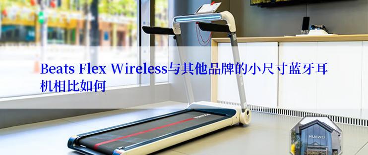 Beats Flex Wireless与其他品牌的小尺寸蓝牙耳机相比如何