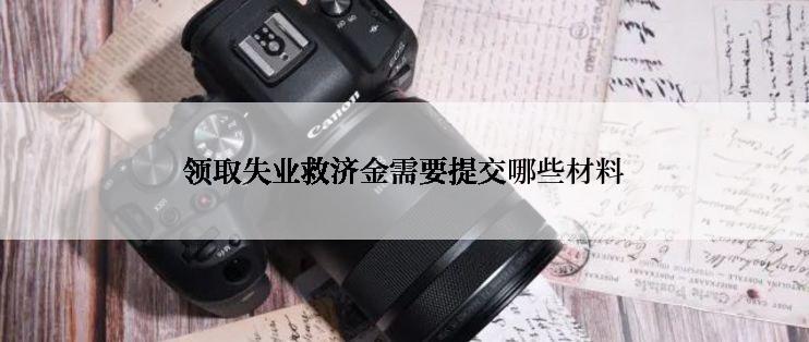 领取失业救济金需要提交哪些材料