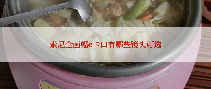 索尼全画幅e卡口有哪些镜头可选