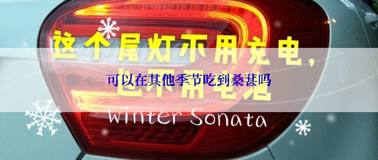 可以在其他季节吃到桑葚吗