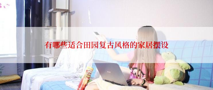 有哪些适合田园复古风格的家居摆设