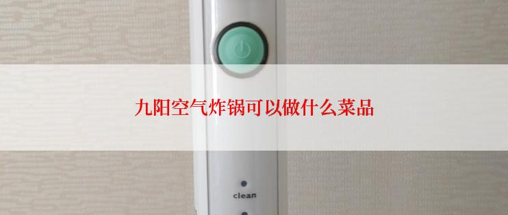 九阳空气炸锅可以做什么菜品