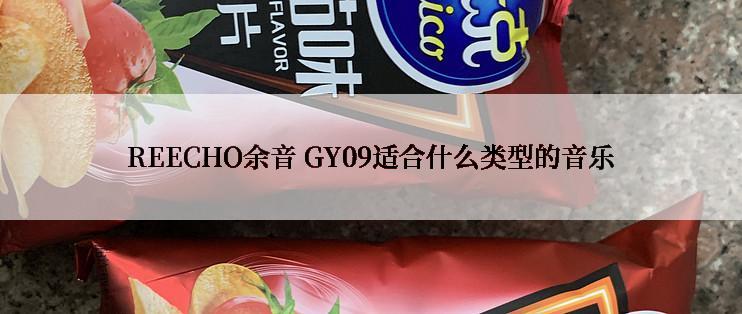 REECHO余音 GY09适合什么类型的音乐