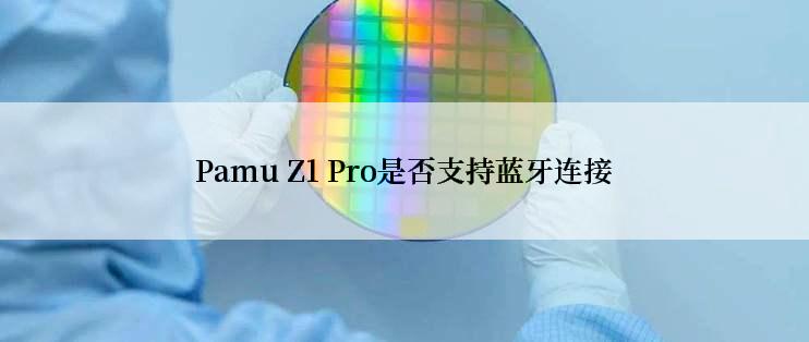 Pamu Z1 Pro是否支持蓝牙连接