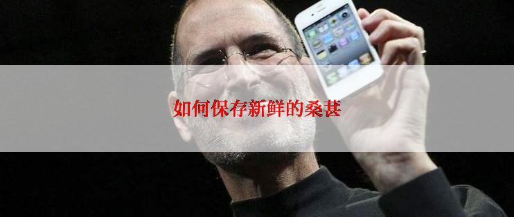 如何保存新鲜的桑葚
