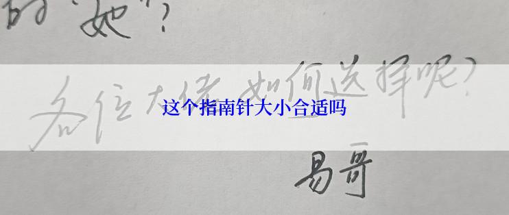 这个指南针大小合适吗