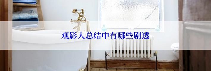 观影大总结中有哪些剧透