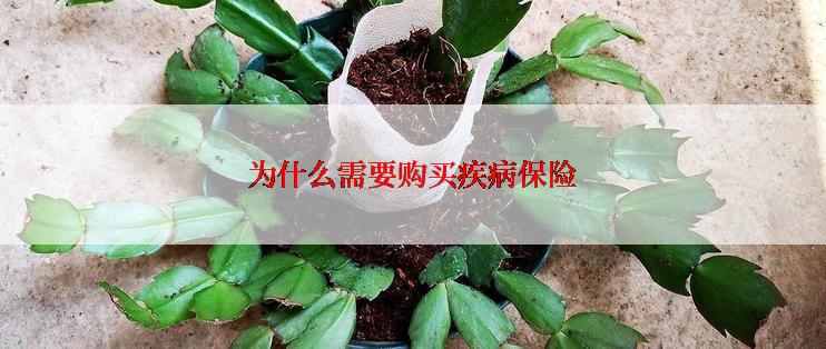为什么需要购买疾病保险