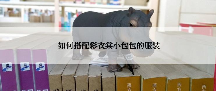  如何搭配彩衣棠小包包的服装