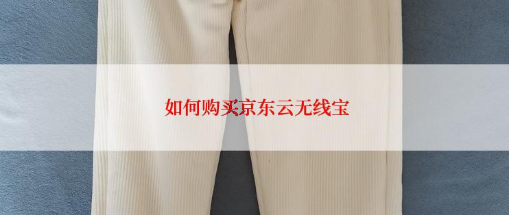  如何购买京东云无线宝