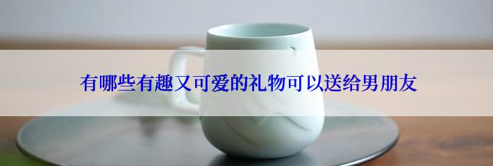  有哪些有趣又可爱的礼物可以送给男朋友