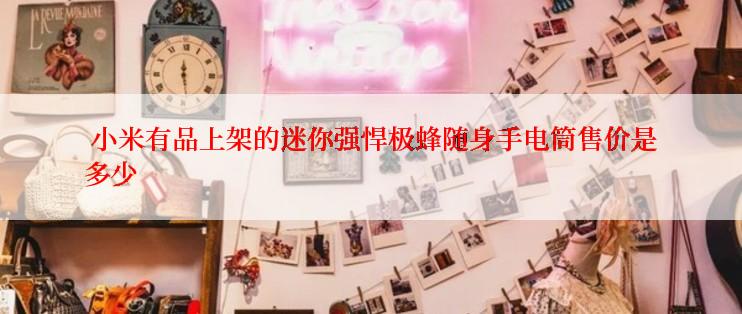  小米有品上架的迷你强悍极蜂随身手电筒售价是多少