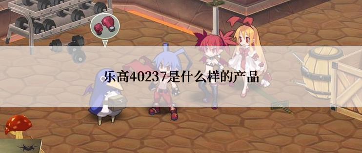 乐高40237是什么样的产品