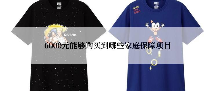 6000元能够购买到哪些家庭保障项目