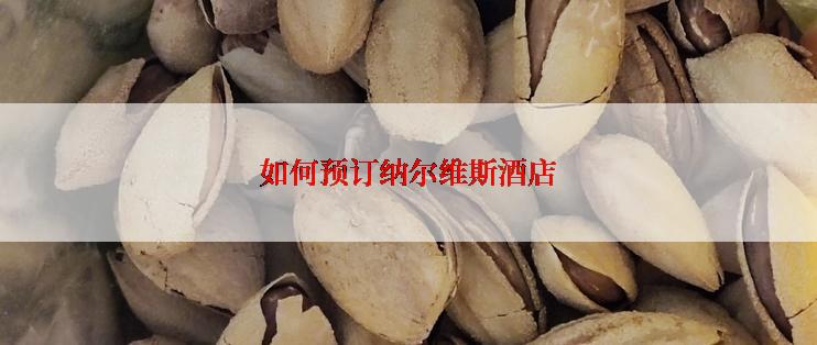 如何预订纳尔维斯酒店