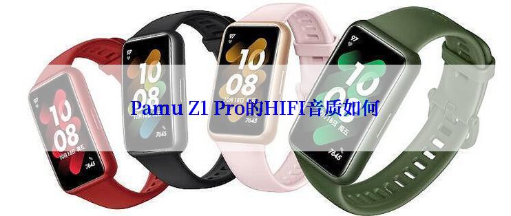 Pamu Z1 Pro的HIFI音质如何