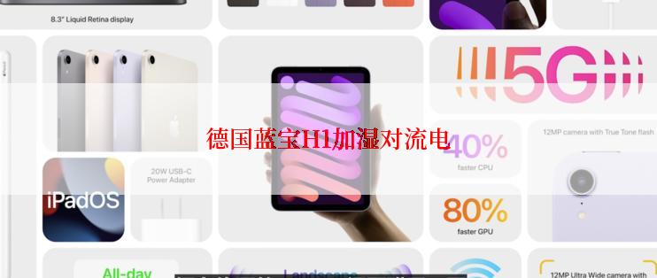 德国蓝宝H1加湿对流电