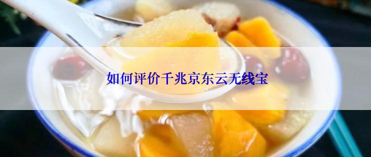  如何评价千兆京东云无线宝