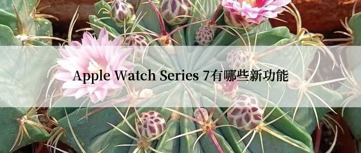 Apple Watch Series 7有哪些新功能