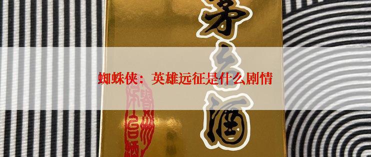 蜘蛛侠：英雄远征是什么剧情