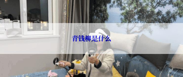 青钱柳是什么