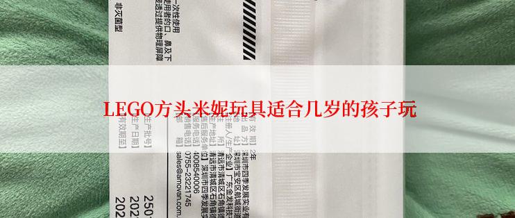  LEGO方头米妮玩具适合几岁的孩子玩