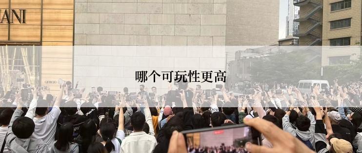 哪个可玩性更高