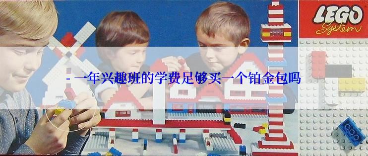 - 一年兴趣班的学费足够买一个铂金包吗