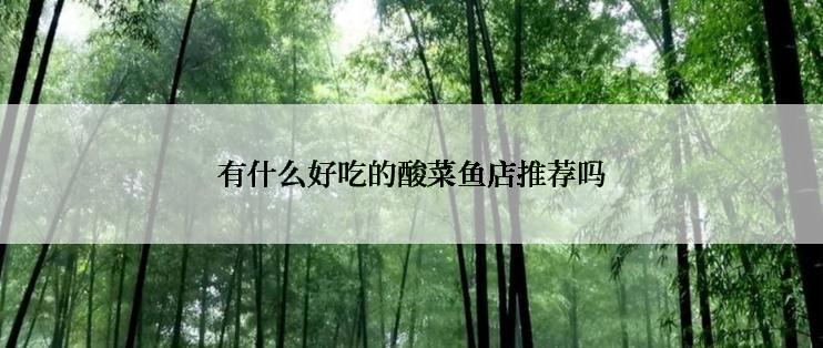 有什么好吃的酸菜鱼店推荐吗