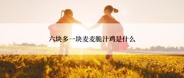 六块多一块麦麦脆汁鸡是什么