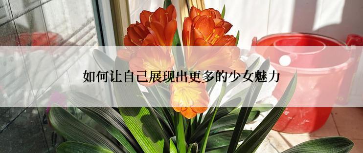 如何让自己展现出更多的少女魅力