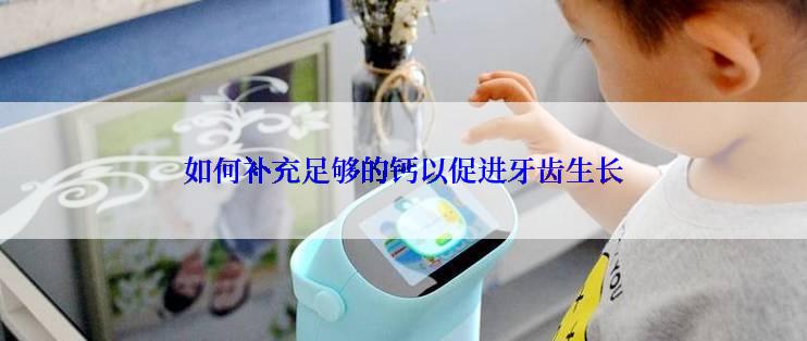 如何补充足够的钙以促进牙齿生长