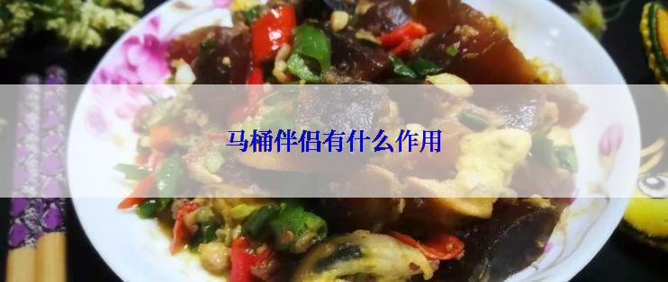 马桶伴侣有什么作用