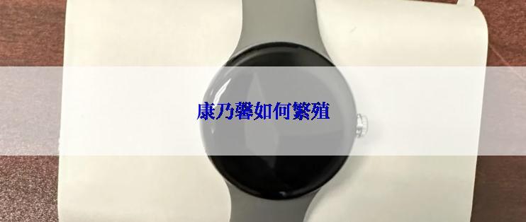 康乃馨如何繁殖