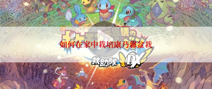 如何在家中栽培康乃馨盆栽