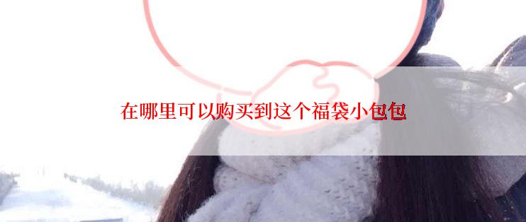 在哪里可以购买到这个福袋小包包