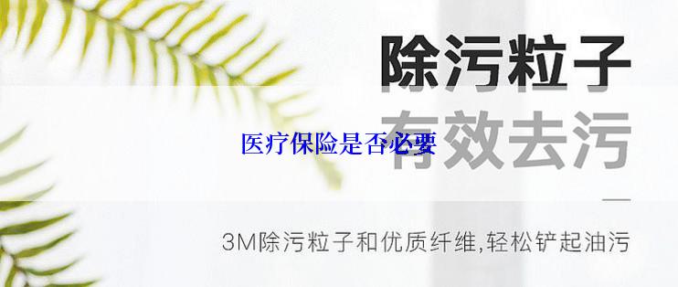 医疗保险是否必要