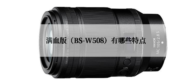 满血版（BS-W508）有哪些特点