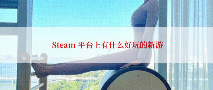  Steam 平台上有什么好玩的新游