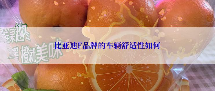 比亚迪F品牌的车辆舒适性如何