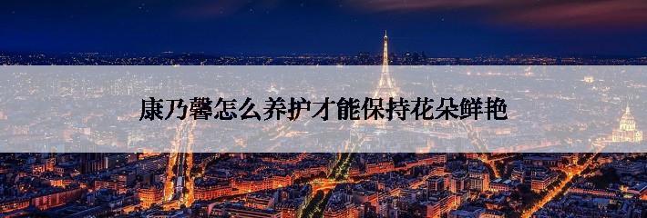 康乃馨怎么养护才能保持花朵鲜艳