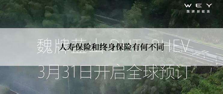 人寿保险和终身保险有何不同
